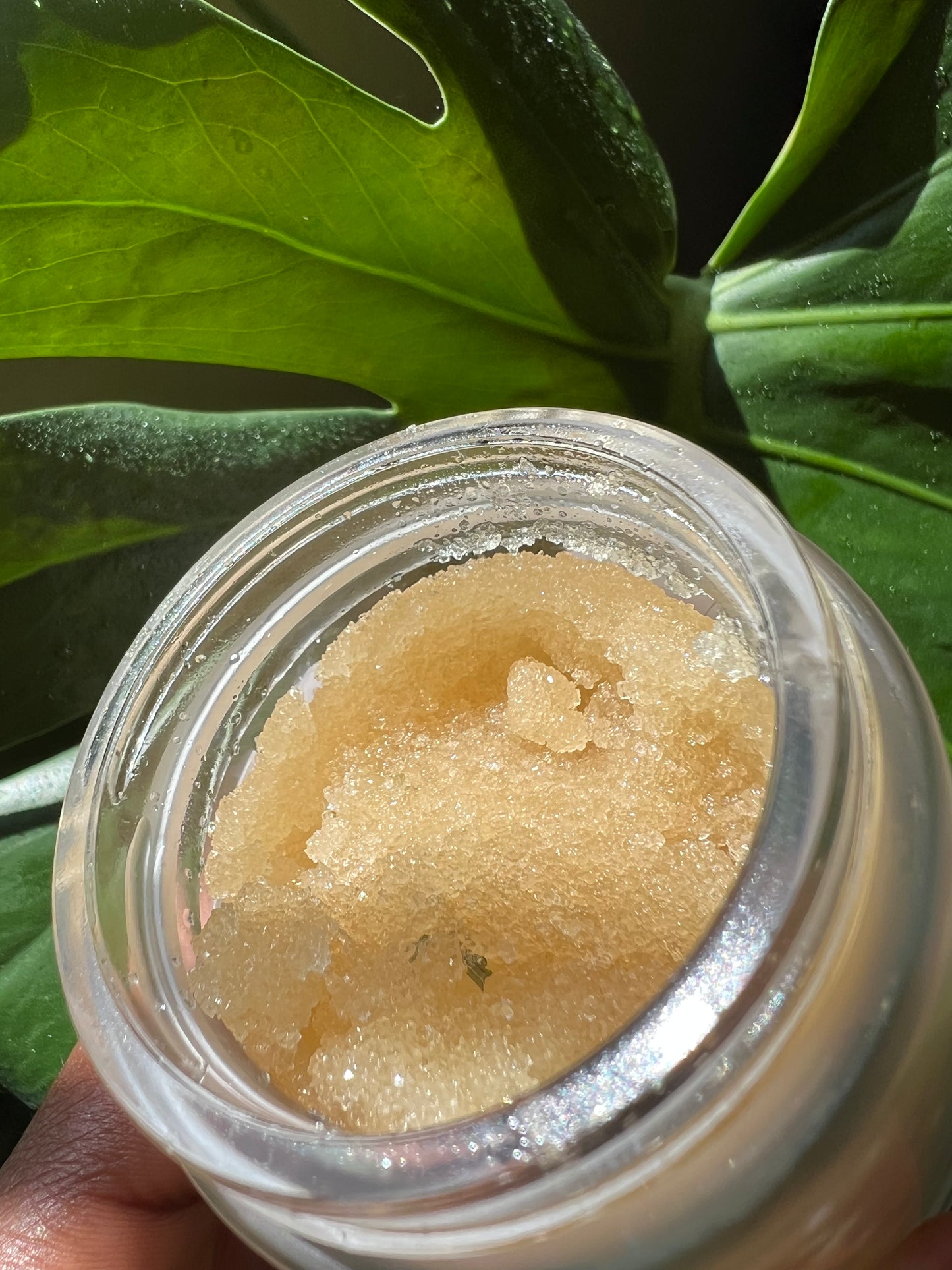 CLARITY | Lemongrass Sugar Scrub